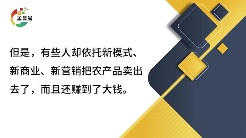 整站优化行业的水有多深